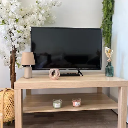 Apartamento 2 Pieces - Piscine - Plages Cannes